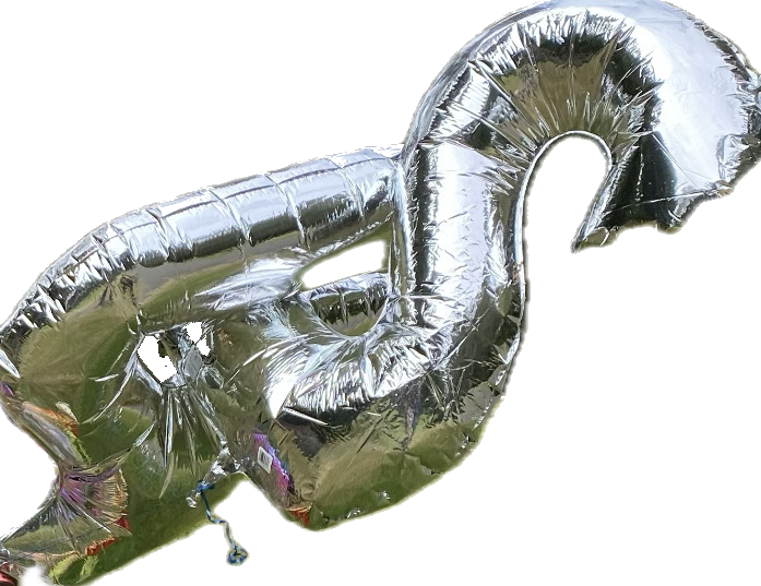 Image of a 4 balloon and a 2 balloon as captured by toddoftacoma