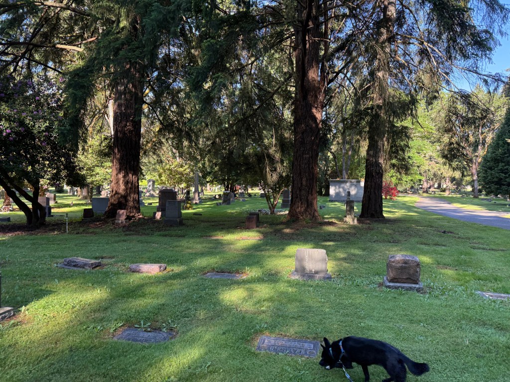 To do Thursday&nbsp;6/26